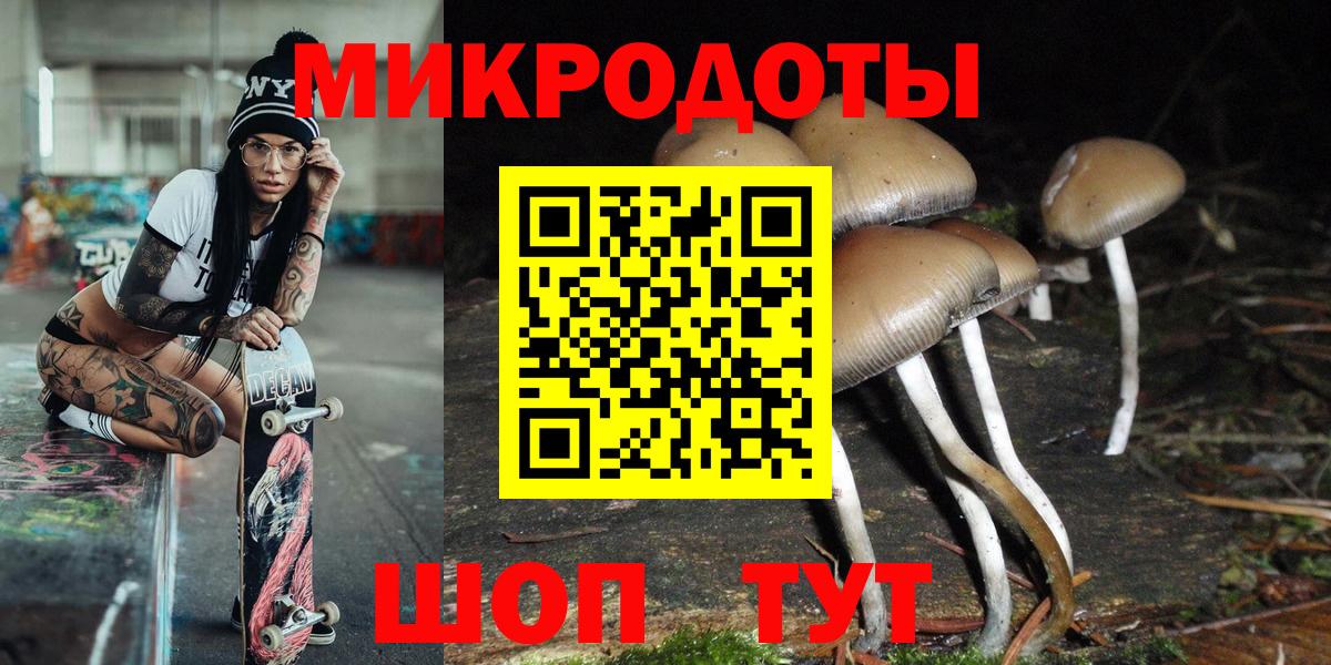 Псилоцибиновые грибы Psilocybine cubensis Благодарный