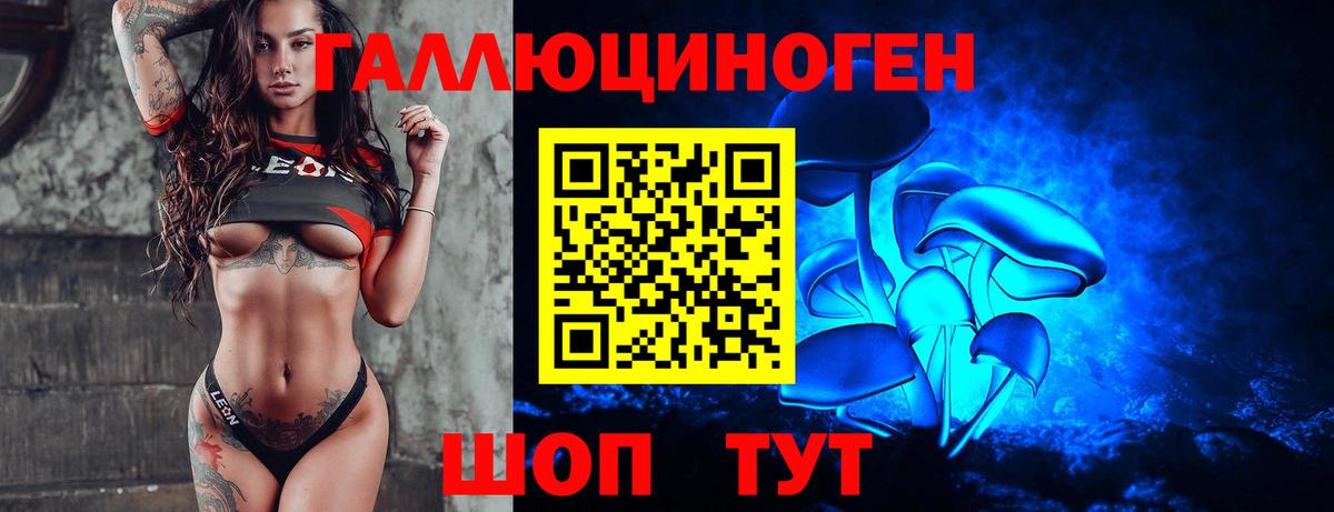 Благодарный  Псилоцибиновые грибы Psilocybe  Вход с VPN 